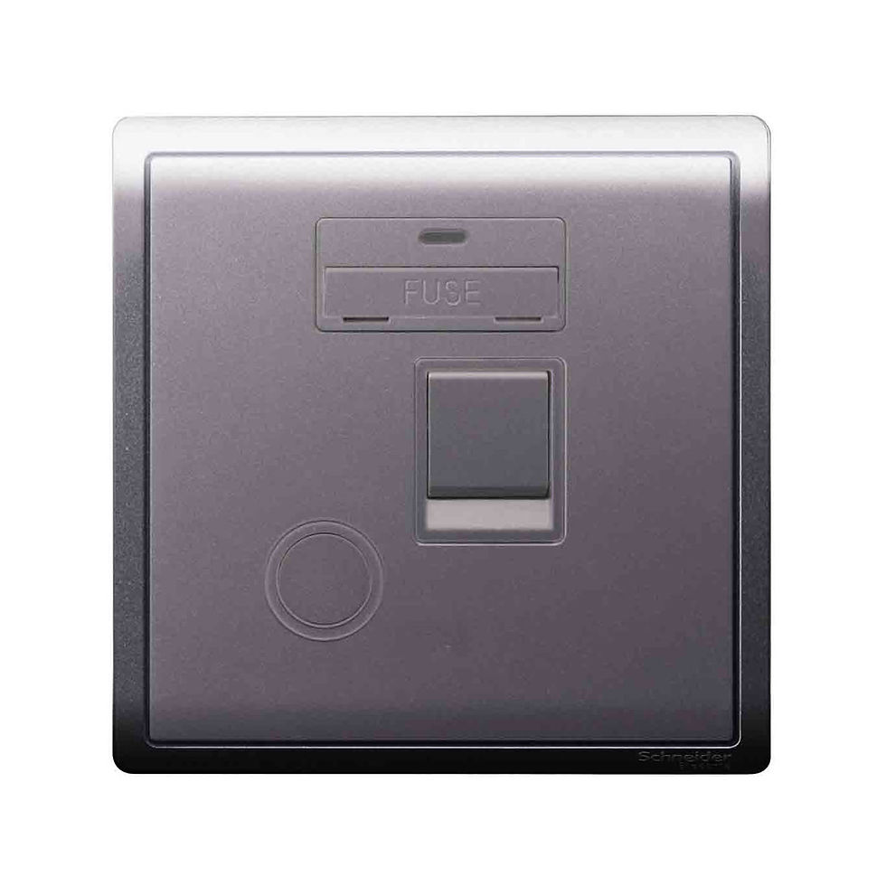 施耐德 Pieno 薰衣草銀 13AFuse有掣有燈 接線蘇