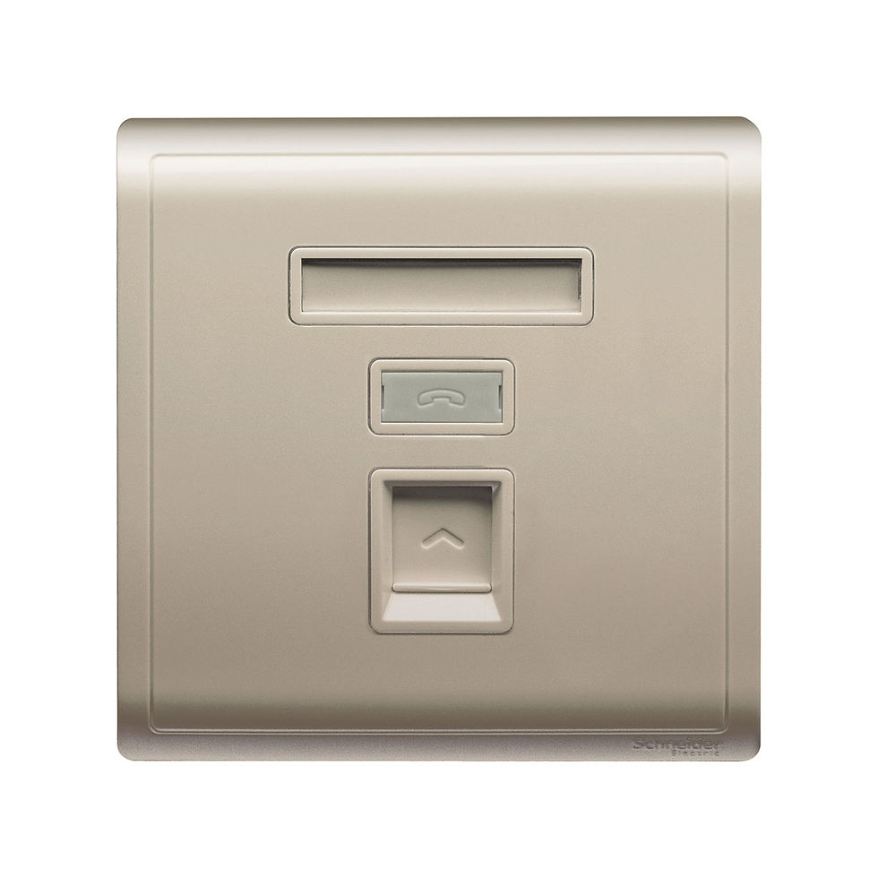 施耐德 Pieno 沉醉金 單位 CAT5E數據插座