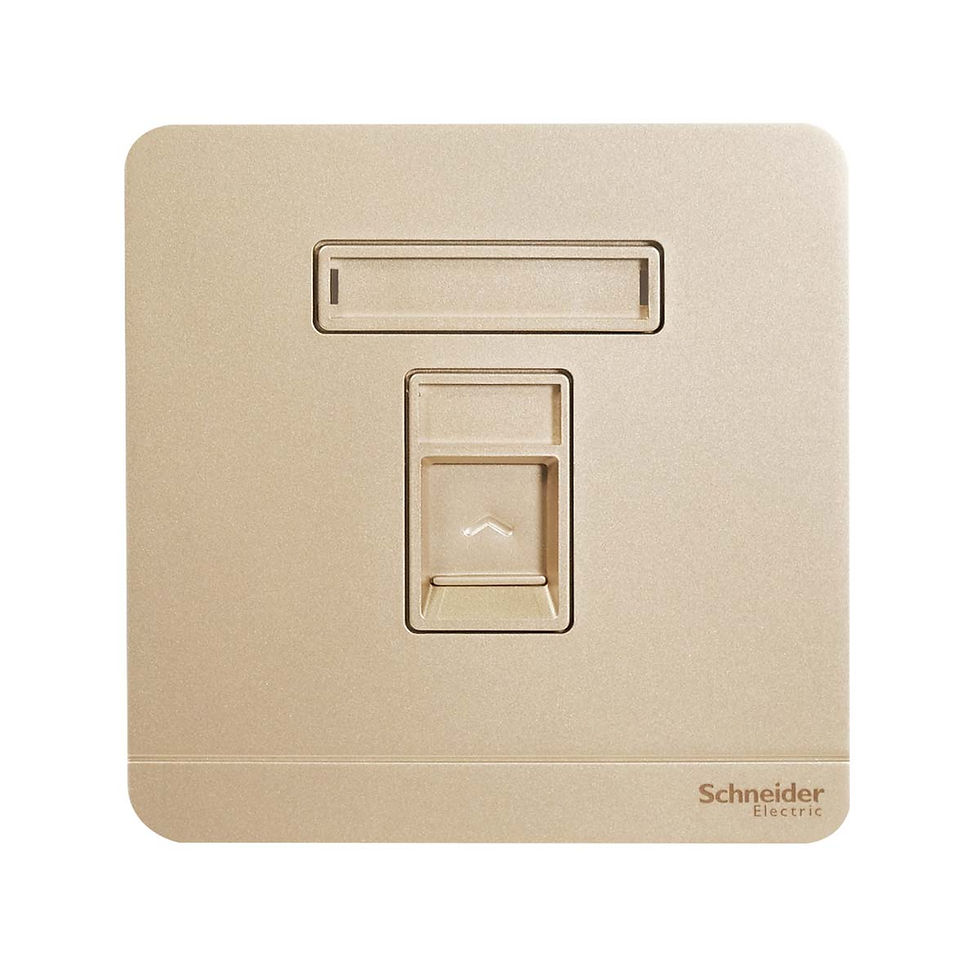 施耐德 AvatarOn 沉醉金 單位 CAT3電話插座