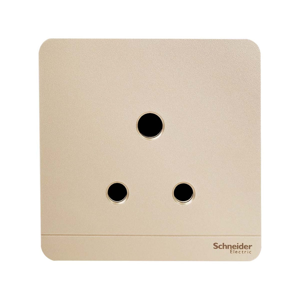 施耐德 AvatarOn 沉醉金 15A單蘇 插座