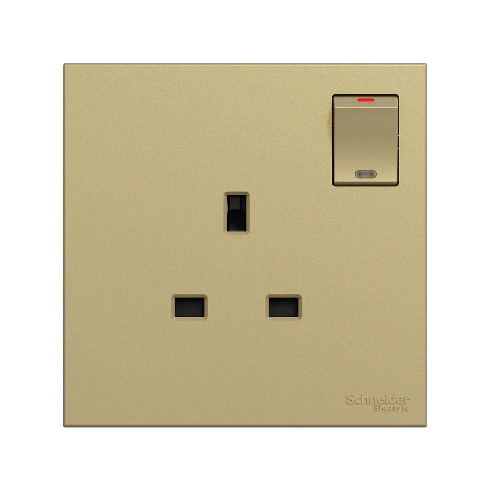 施耐德 奐然AvatarOn C 沉醉金 13A單蘇有掣 插座