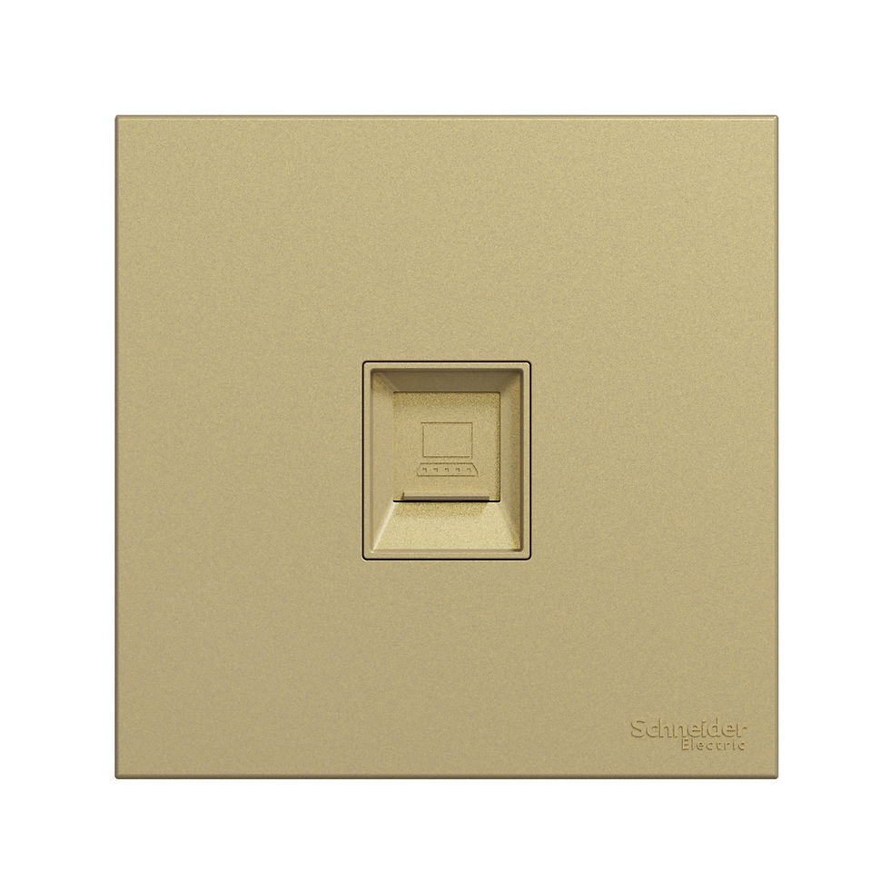 施耐德 奐然AvatarOn C 沉醉金 單位 CAT5E數據插座