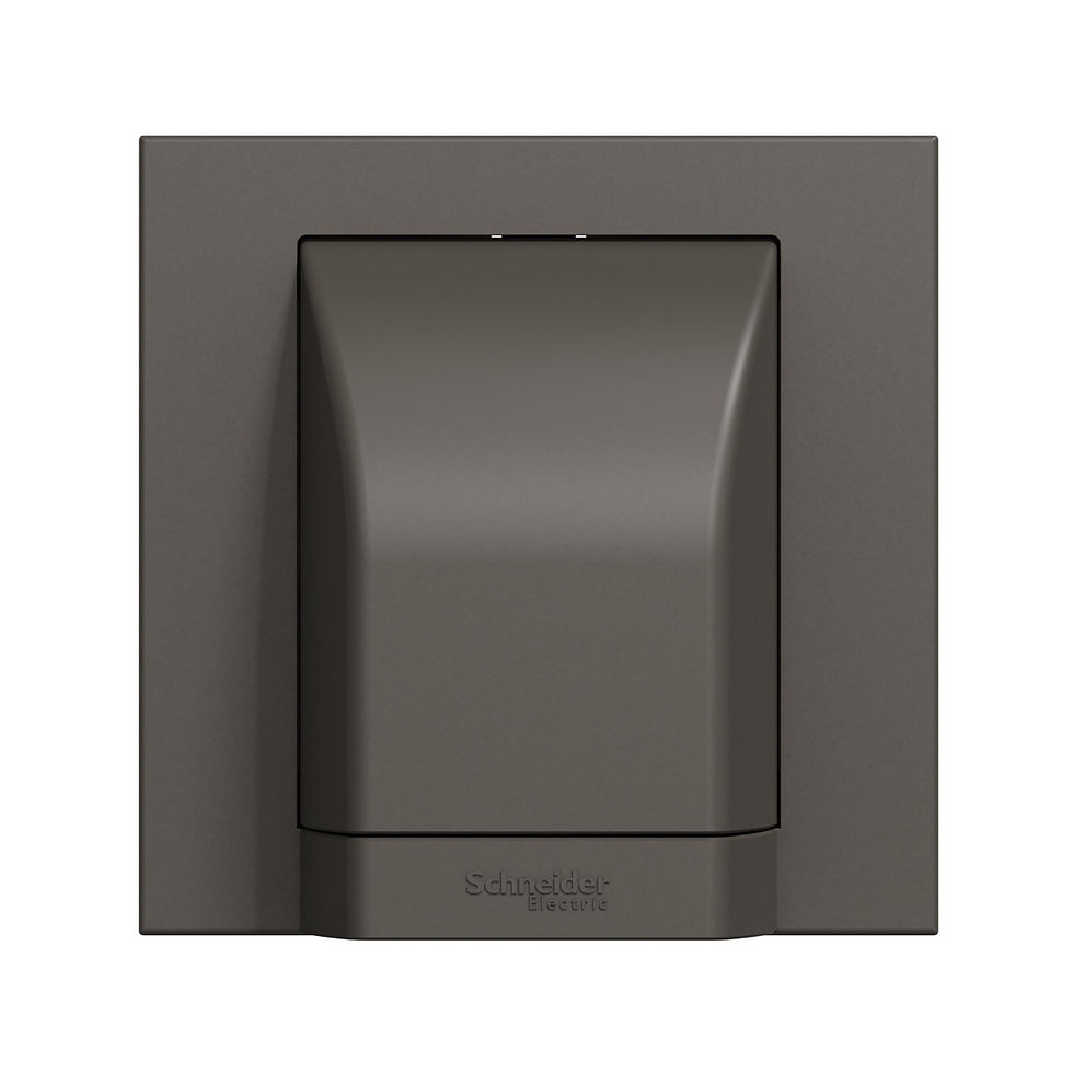 施耐德 奐然AvatarOn C 石墨灰 45A龜背 接線蘇