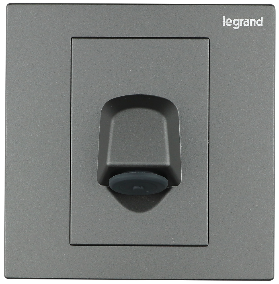 Legrand Galion 深沙銀 20A肚臍 接線蘇