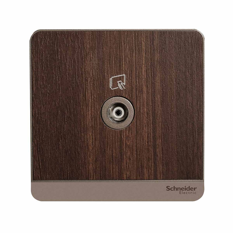 施耐德 AvatarOn 胡桃木 單位 TV蘇