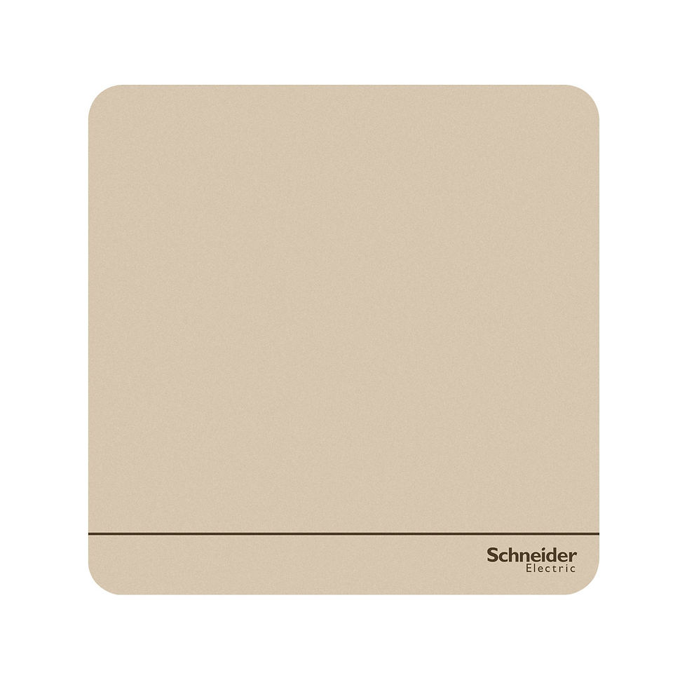 施耐德 AvatarOn 沉醉金 1位雙控 帶指示燈 開關掣