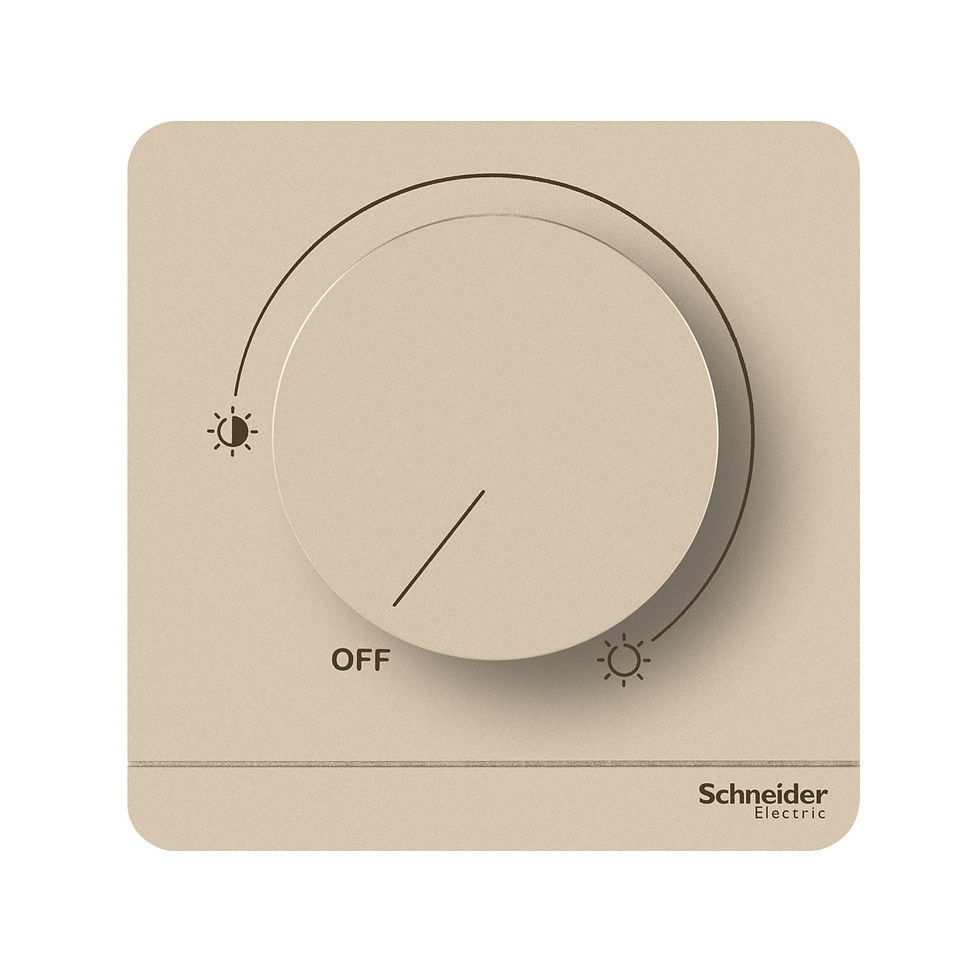 施耐德 AvatarOn 沉醉金 單位 光暗掣