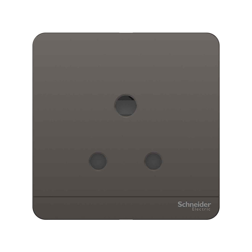 施耐德 AvatarOn 石墨灰 15A單蘇 插座