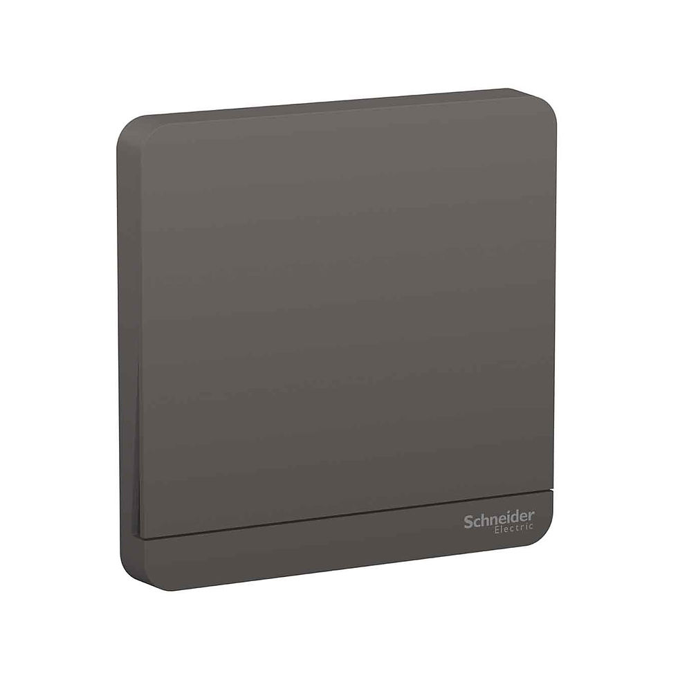 施耐德 AvatarOn 石墨灰 十字掣 開關掣