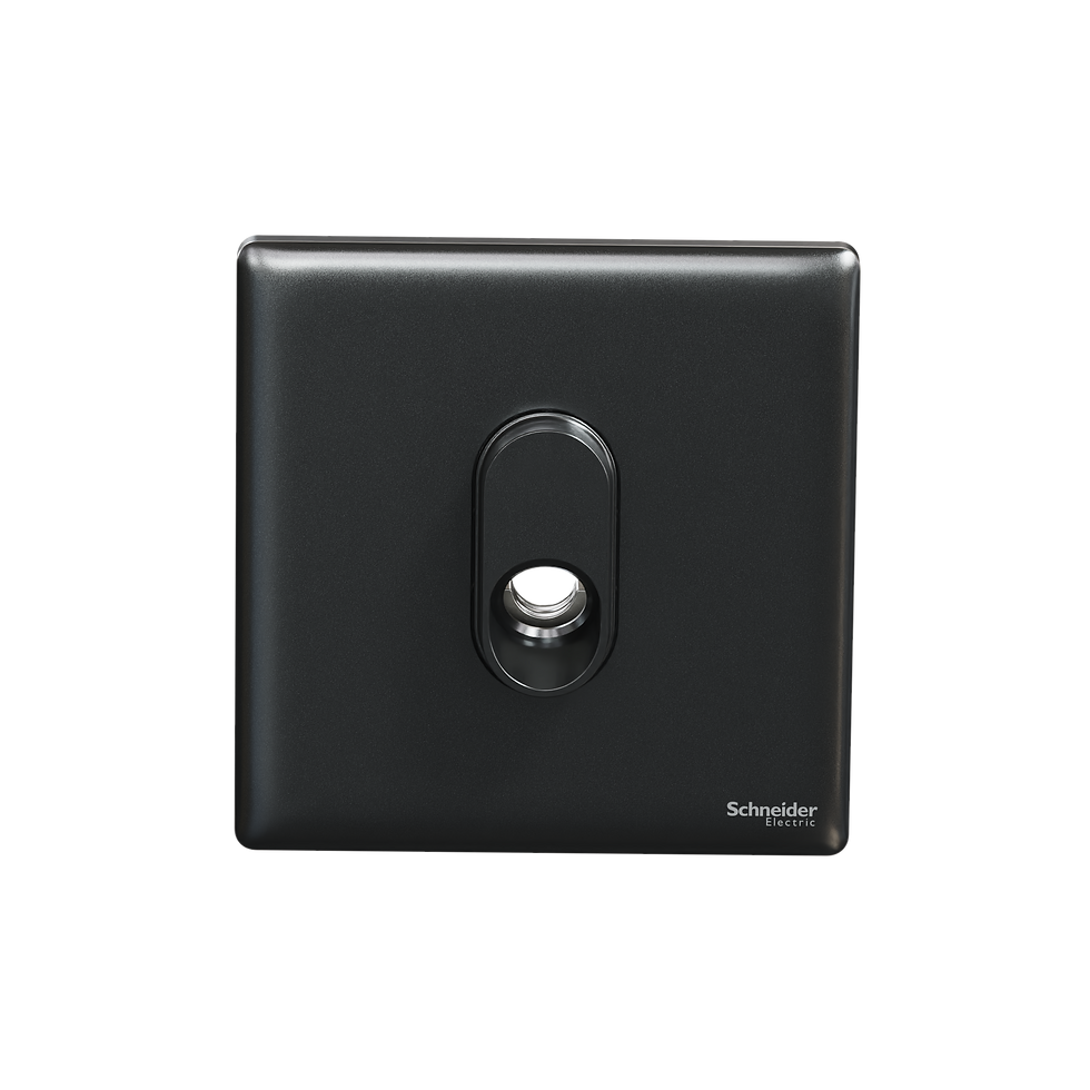 施耐德 Unica X 石墨灰 25A肚臍 接線蘇