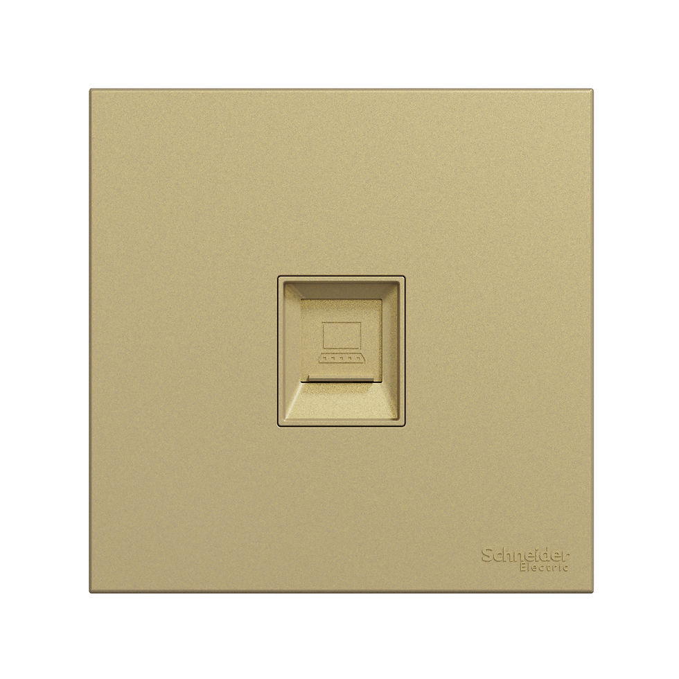 施耐德 奐然AvatarOn C 沉醉金 單位 CAT6數據插座