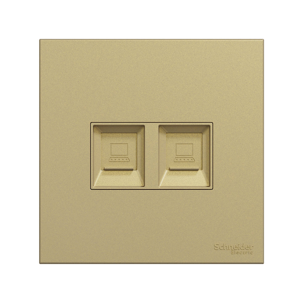 施耐德 奐然AvatarOn C 沉醉金 孖位 CAT5E數據插座