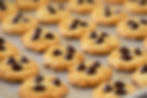 Chip_edited.jpg