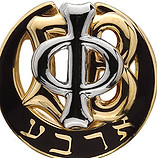 9954.jpg