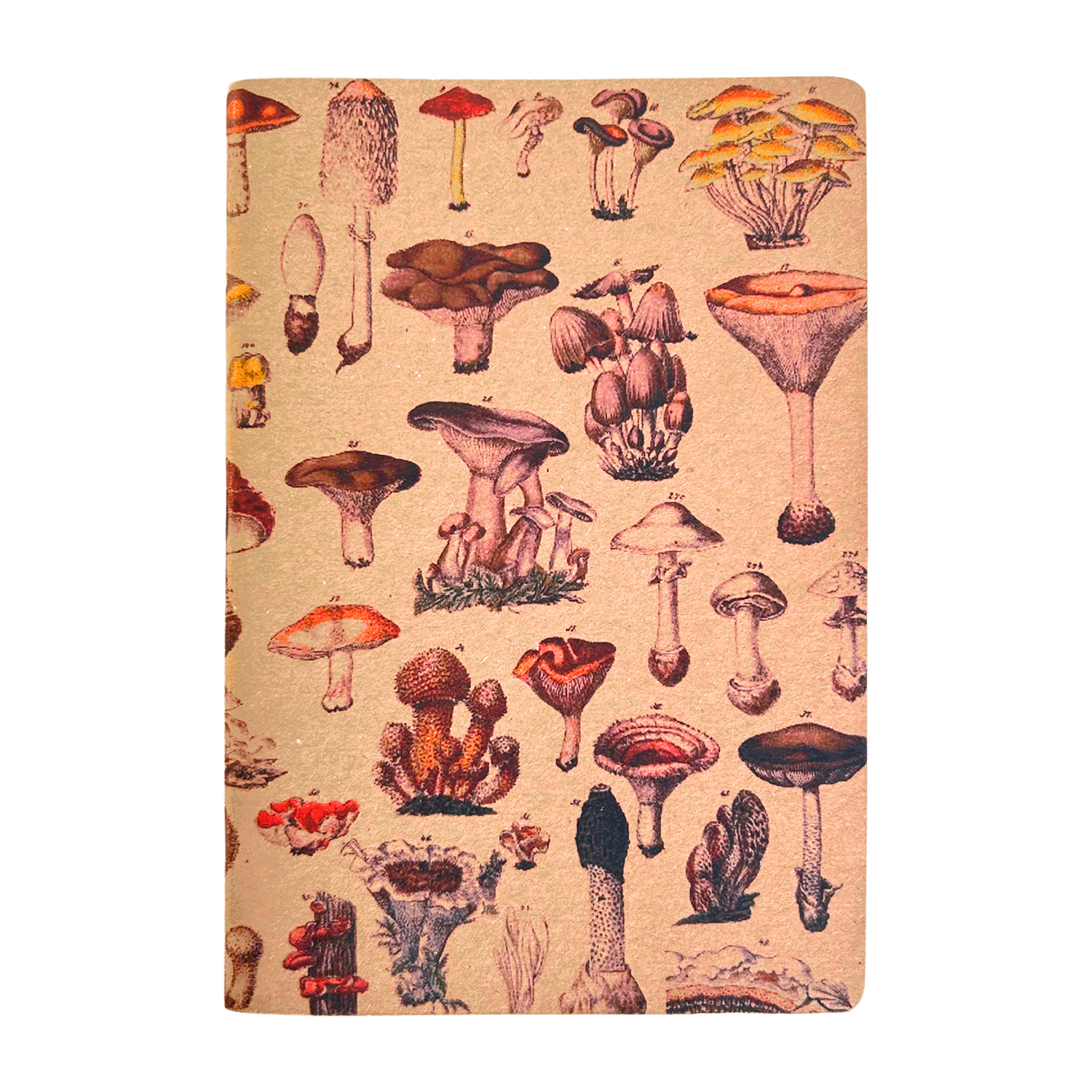 Caderneta G 14x20 cm Cogumelos