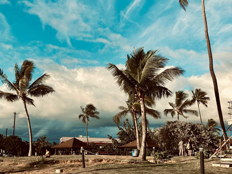 Discovering Paradise: Poipu Beach Park Kauai
