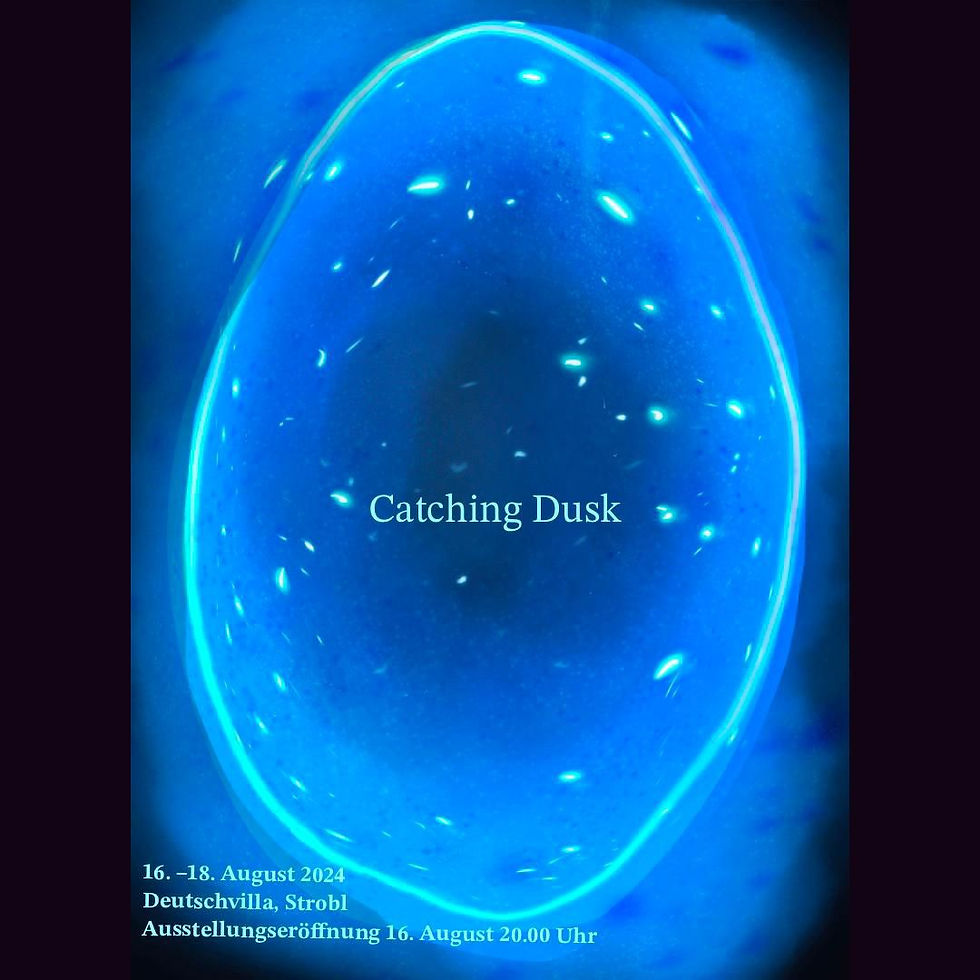 Vernissage "Catching Dusk", Deutschvilla, August 2024
