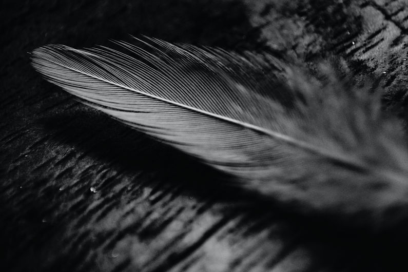 vignesh-kumar-r-b-FrZo1GNZ2go-unsplash.j