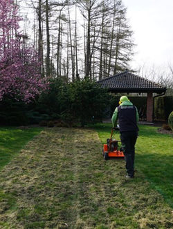 Vertikutace - pročesání trávníku