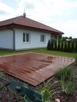 Paluba, sibiřský modřín