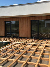 Paluba, sibiřský modřín