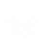ICONO BLANCO.png