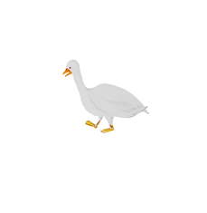 mimifotofreineu.png