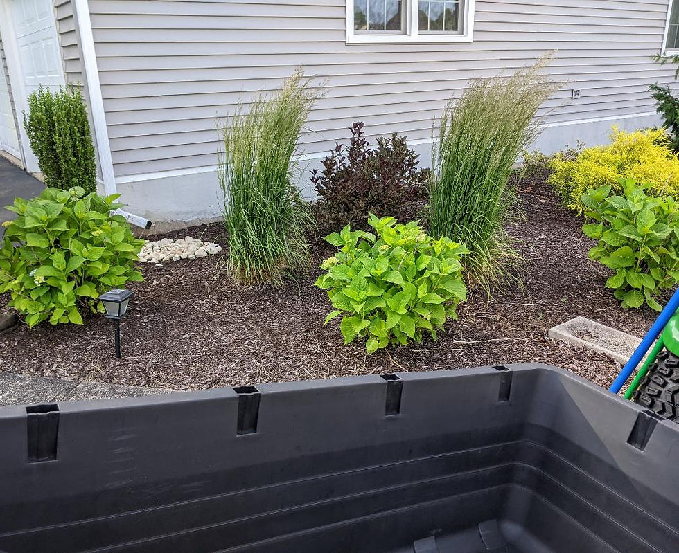 Garden bed with mulch as a ground cover.