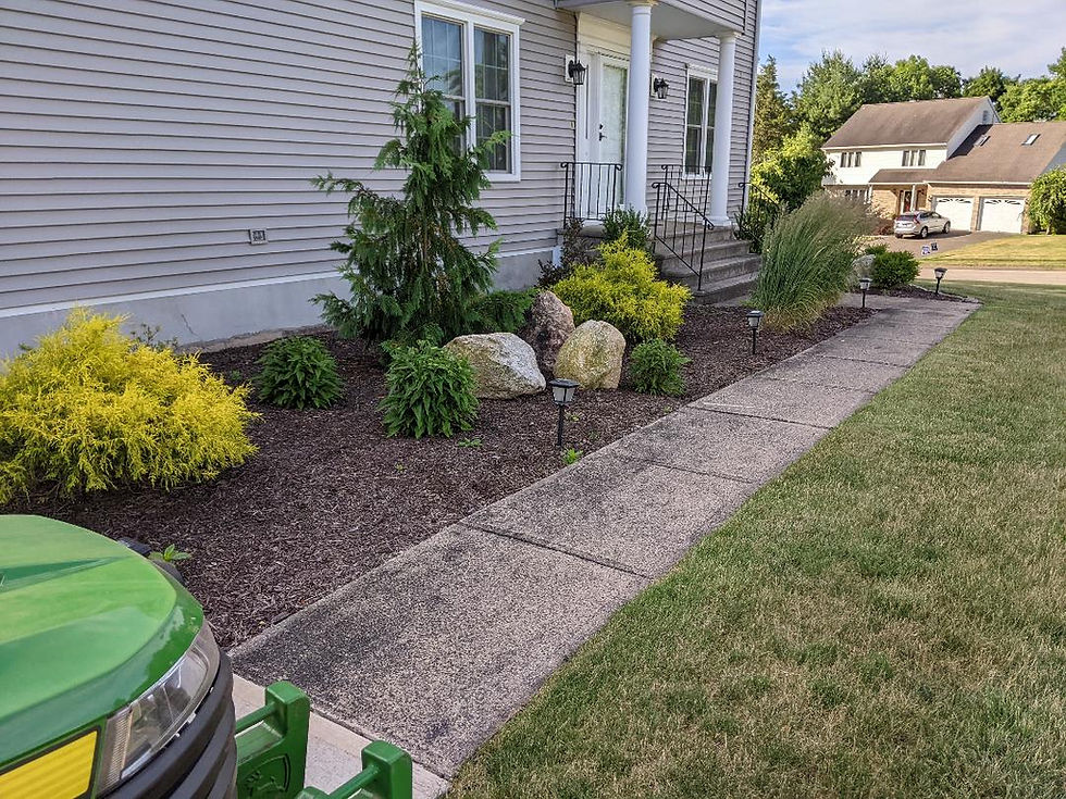 garden bed with mulch before spreading decorative stone.