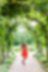 senior picture in red dress in Westerville unique location with green plant arch