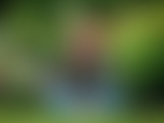 girl sitting in front of flower field in senior picture in Columbus, Ohio