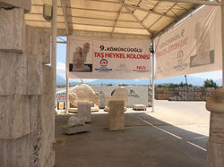 KOLONİ ÇALIŞMA ALANI