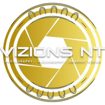 VizionsNT 22 Logo5.png