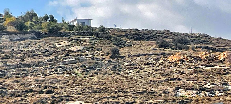 Israeli settlement activity accelerates in the West Bank, Security Council told 