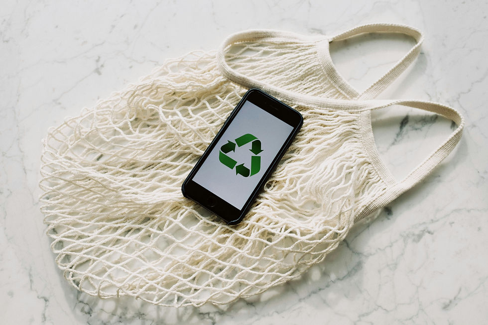 Exploring sustainable solutions: Integrating 3D printing with eco-friendly materials for a greener future.