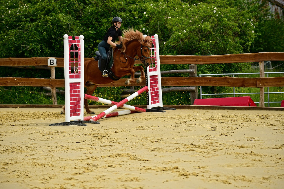 2236d49b-2606-4328-a9c4-08eb64d4afc0