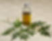 neem-oil-1.jpg