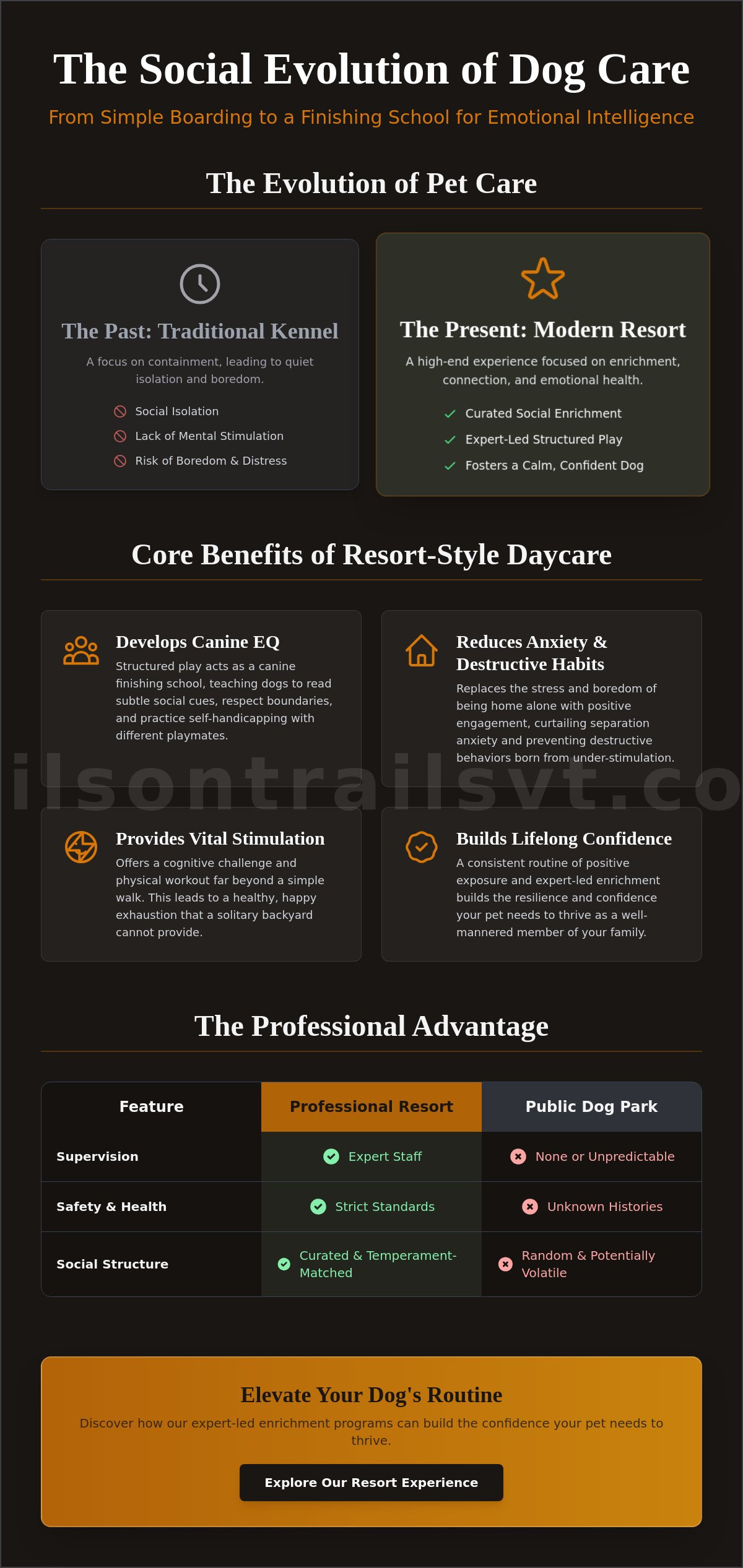 Social benefits of dog daycare