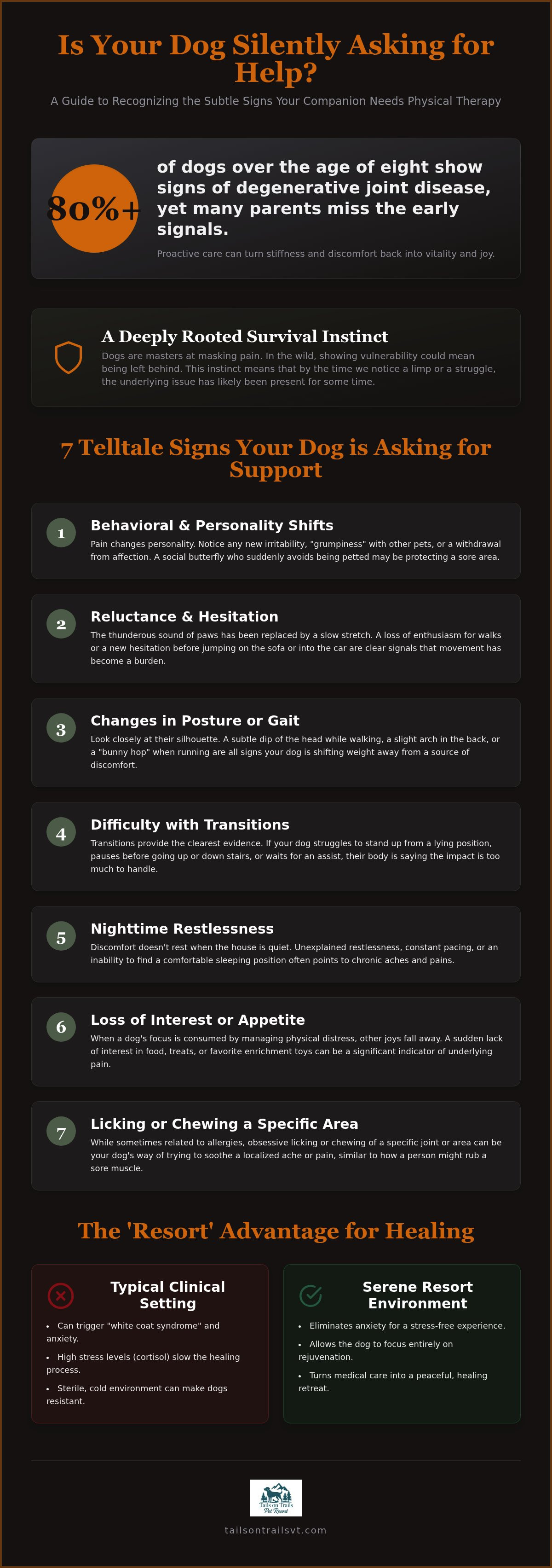 Signs your dog needs physical therapy