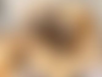 doggy daycare mount snow