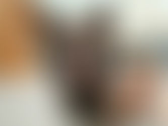 doggy daycare vermont