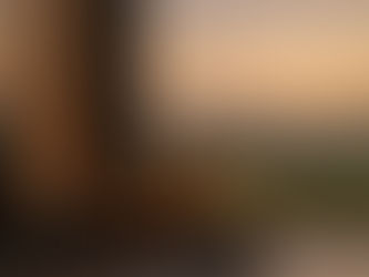 doggy daycare vermont