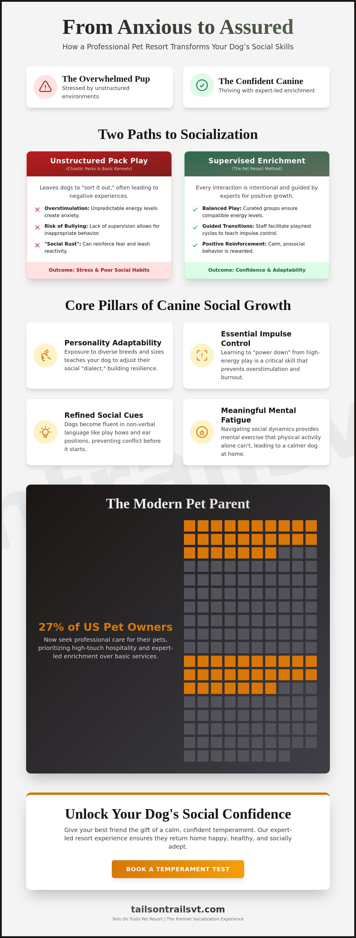 Will daycare help my dog's social skills