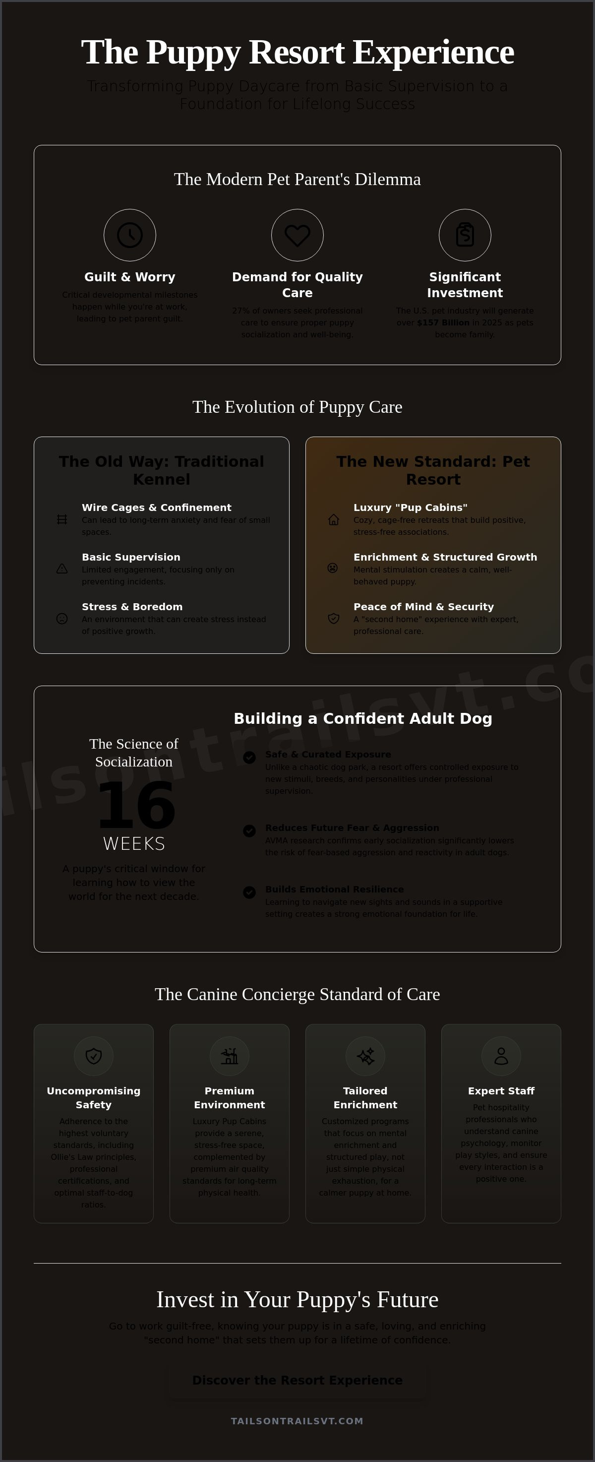 Benefits of doggy daycare for puppies