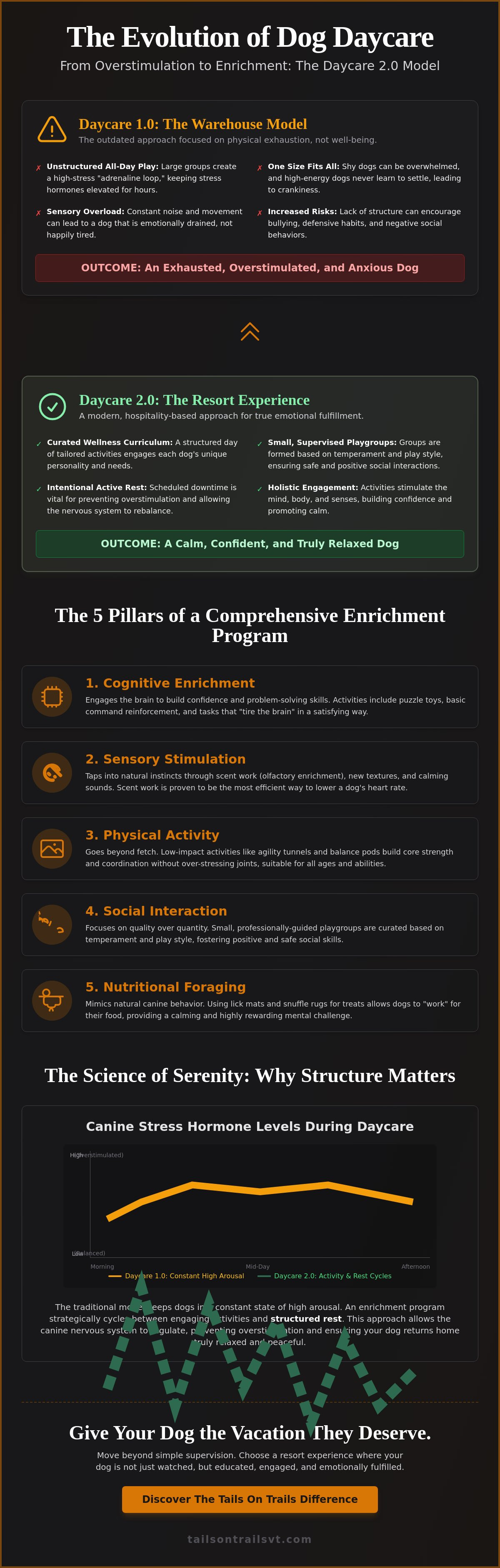 What are dog daycare enrichment programs