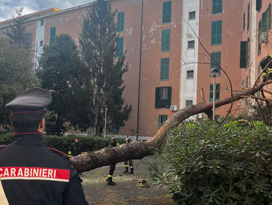 San Basilio, albero crolla su una palazzina e trancia tubatura del gas