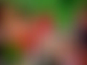 Roma, un weekend di eventi: tra enogastronomia, musica e cultura