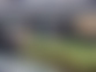 Sgomberata area abusiva sotto il cavalcavia di Via Portuense