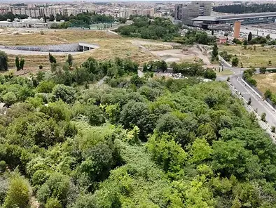 Stadio Roma a Pietralata, i comitati presentano ricorso al Tar: «Verificare l'esistenza di un bosco nell'area»