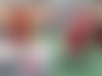 «La vita. Per sempre». Otto anni fa l’addio di Totti